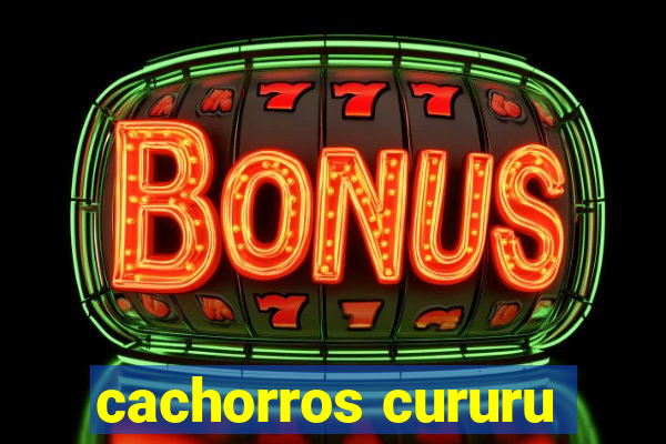 cachorros cururu